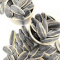 363 361 Sunflower Seeds from Factory